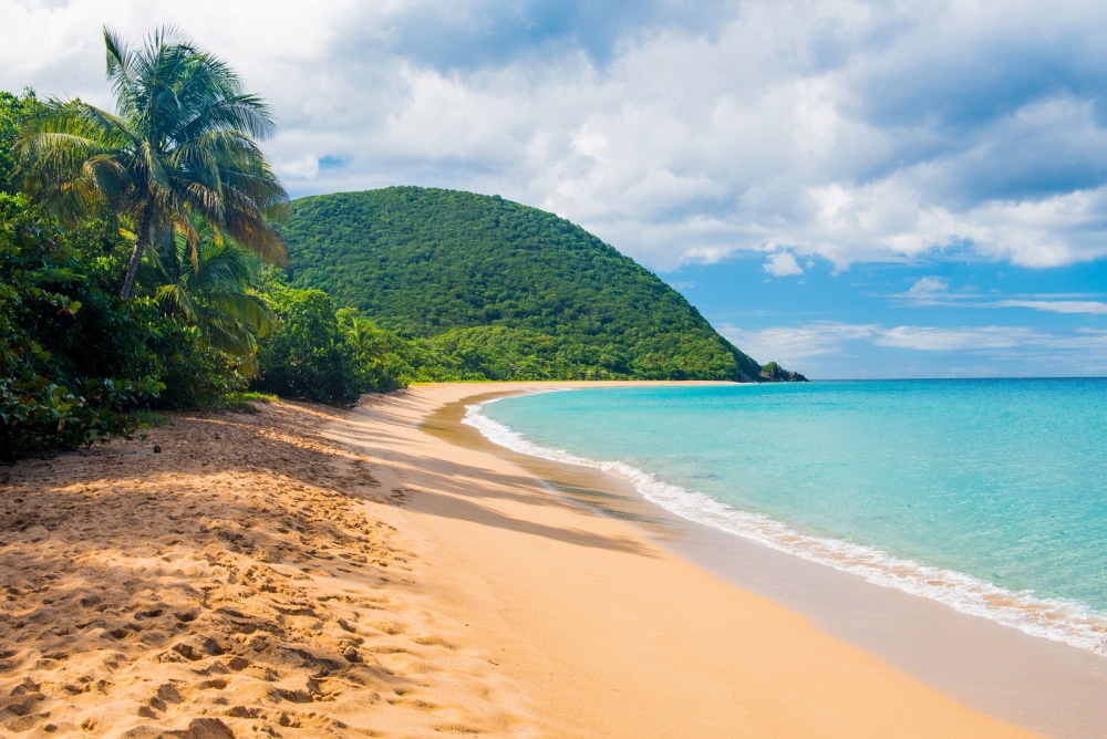 Plage-Grande-Anse-Deshaies-Guadeloupe-1000