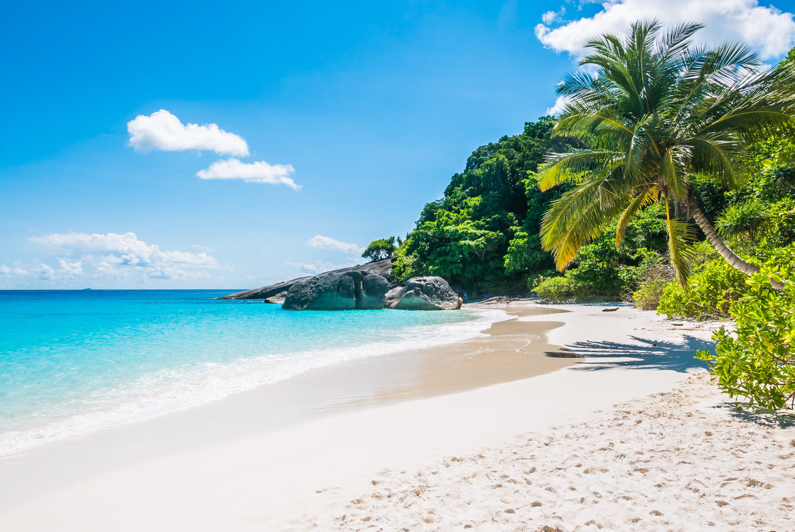 Beautiful sea and tropical beach